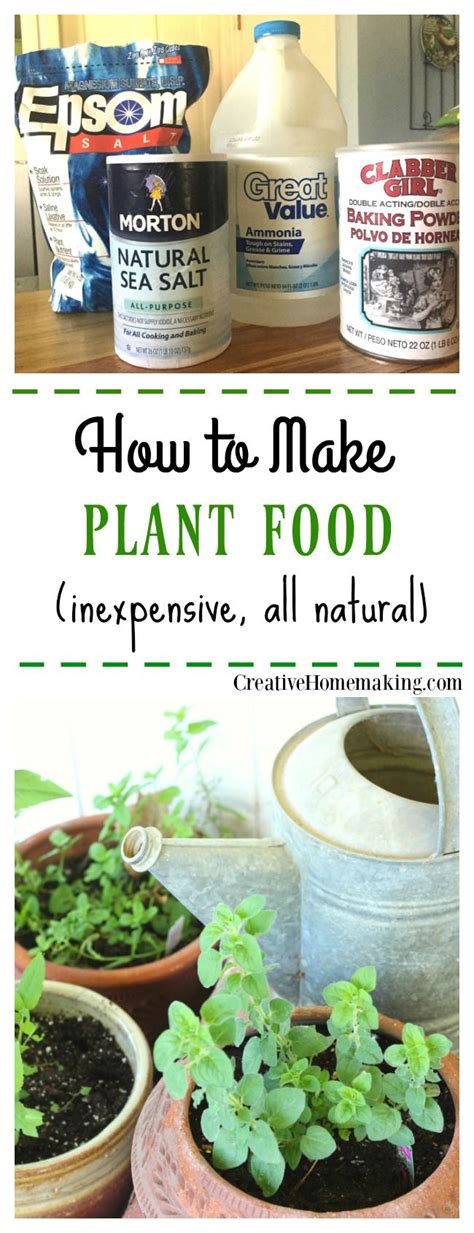 Homemade Plant Food
